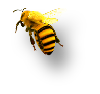 bee.png
